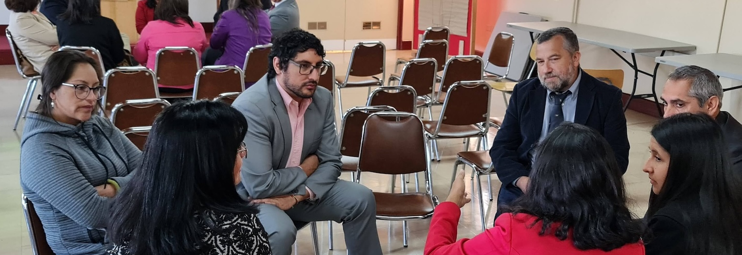 Comité de Seguridad del Colegio Felmer Niklitschek