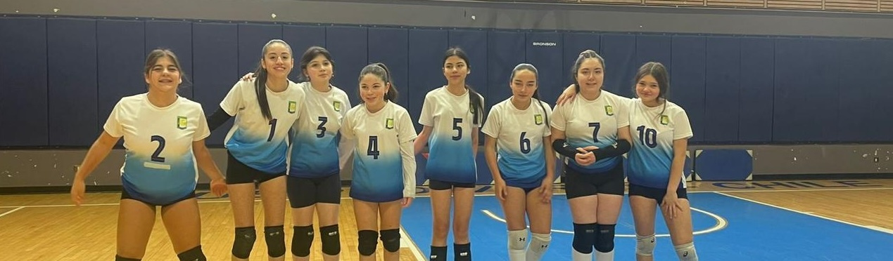 Taller de Voleibol